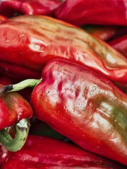 Hot Red Chilies